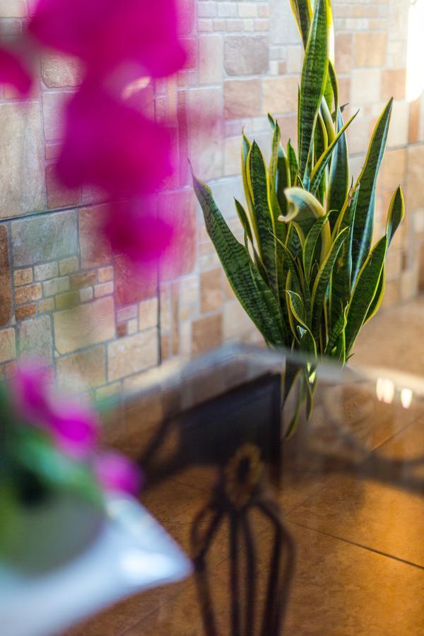 Merida Serviced Apartments Ngoại thất bức ảnh